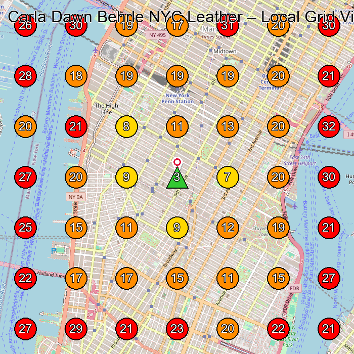 Carla Dawn Behrle NYC Leather GeoGrid visibility map for Fashion Designer in New York